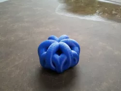 Pknot