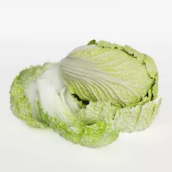 Pok Choi Cabbage 3D model