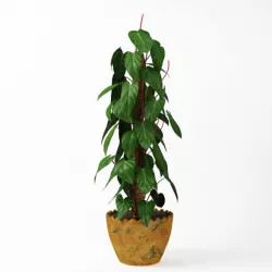 Pot Leafy Plant 3D model