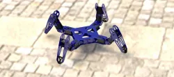 quadruped robot