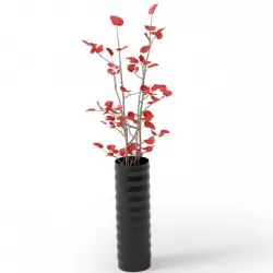 Red Leaf Plant In Apot 3D model
