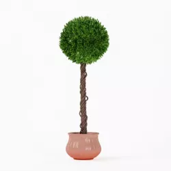 Spherical Shaped Leaf Plant In A Pot 3D model