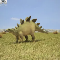 Stegosaurus Stegosaurus Armatus Low-poly  3D model
