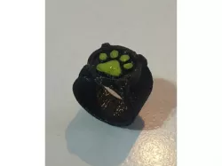 Cat Noir Ring