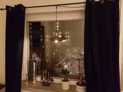Ceiling Light