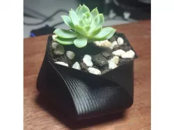 Geometric pot