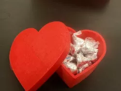 Heart Shaped Box Project