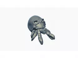 Hermit Crab