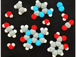 Molecular modeling fridge magnet set