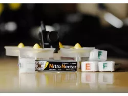 Nitro Nectora / Inductrix battery cap
