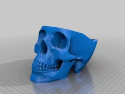 Skull Container