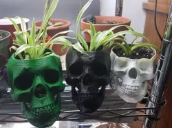 Skull pot