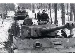 Tiger Tank Pack