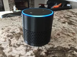 Amazon Echo Dot Acoustic Case