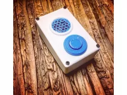 Audio Greeting Card in a Box!