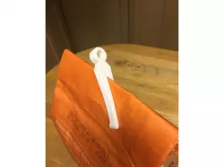 Bag Peg
