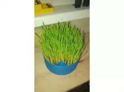 Grass planter with reservoir (for cat)