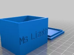 Ms Lizeth BOX