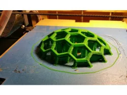 Turtle Shell Brace