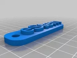 eStem Keychain