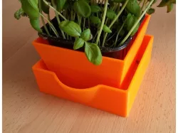 Flower pot with bottom watering