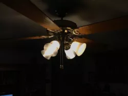 Hunter fan lamp shade