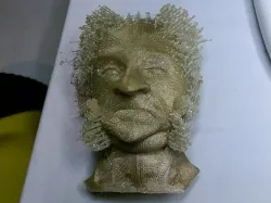 Mr. Hairy Muttonchop
