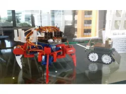 Quadruped