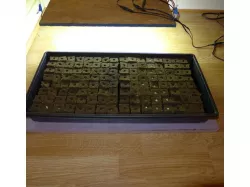 Seed starter for 1" grow cubes
