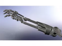 Terminator Arm (inches)
