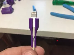 Apple Lightning Protector