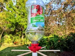 Bird Feeder Bottle For Whole Sun Flower Seeds