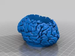 Brain Bowl