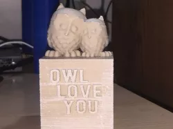 Cuddling Owls - Owl Love You box