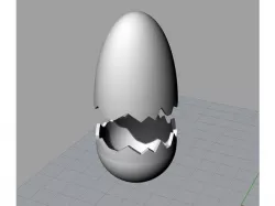 egg shell