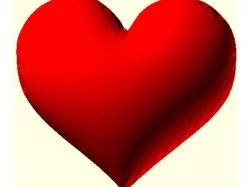 Heart, flat on one side