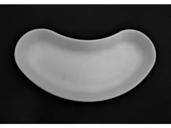 Kidney Tray