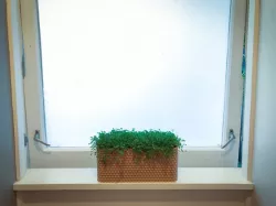Large Rectangular Flower Pot