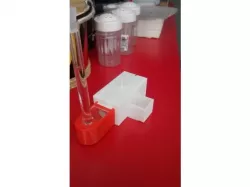 Mini Ant farm