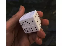 Paradox Die