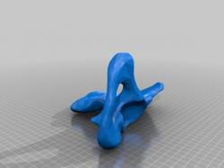 pelvic bone 3d models 【 STLFinder