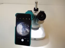 Pinp my Microscope