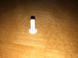 Plug