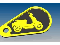 Scooter keyfob