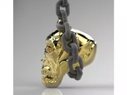 skull hanging on a chain