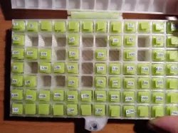 SMD Box
