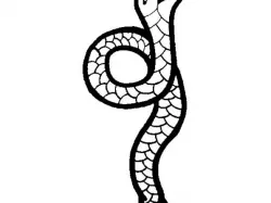 Snakey Snake