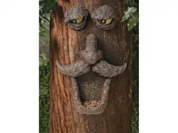Tree Face Bird feeder