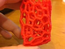 Voronoi Printer Test
