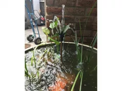 6 Way Fountain Nozzle